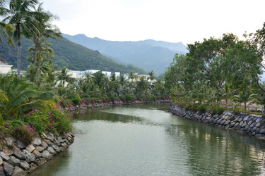 Similar image 21775418