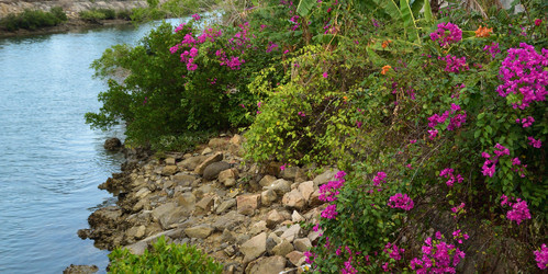 Similar image 21775419