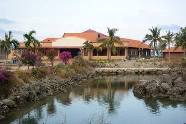 Similar image 21775420