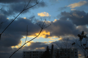 Similar image 21775095