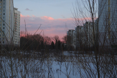 Similar image 21775100