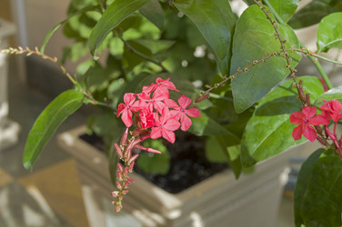 Similar image 21775058