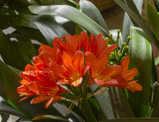 Similar image 21775061