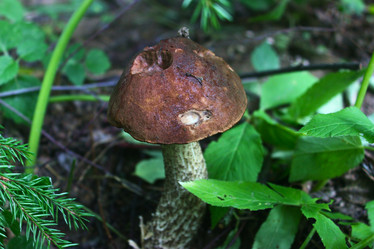 Similar image 21775975