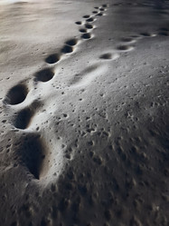 Similar image 21775976