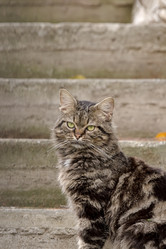 Similar image 21785770