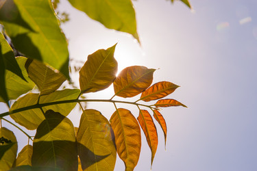 Similar image 21776290