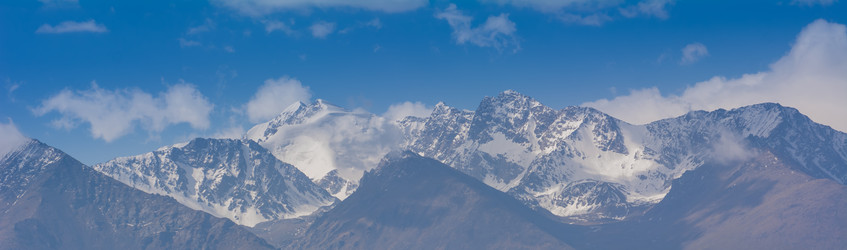 Similar image 21776309