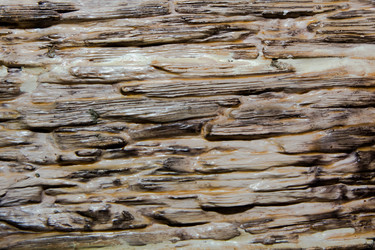 Similar image 21776311