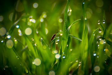 Similar image 21776314