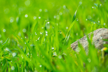 Similar image 21776315