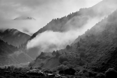 Similar image 21776316