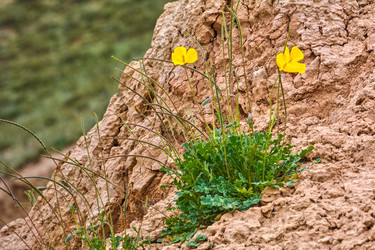 Similar image 21776320