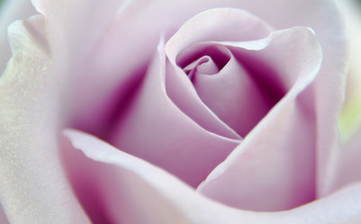 Similar image 21776322