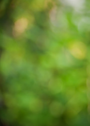 Similar image 21776324