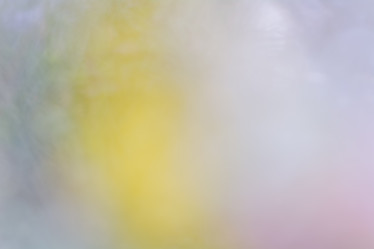 Similar image 21776325