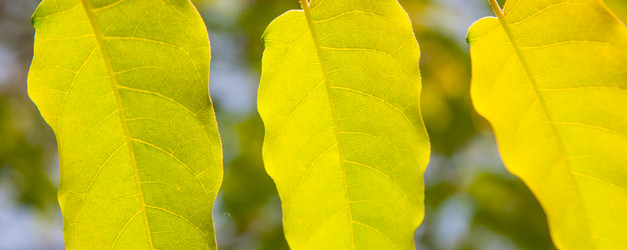 Similar image 21776327