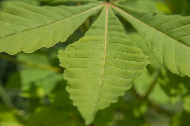 Similar image 21776339