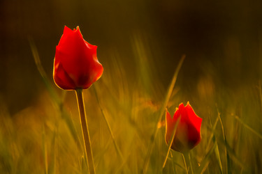 Similar image 21776341