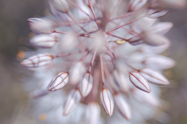 Similar image 21776495