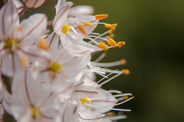 Similar image 21776496