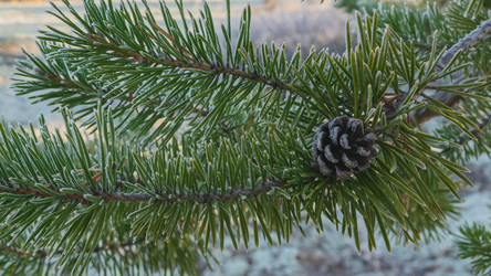 Similar image 21776058