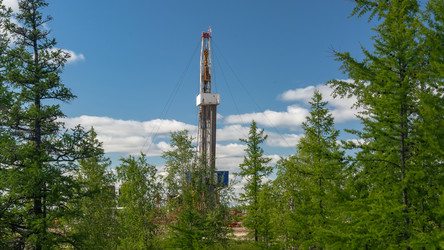 Similar image 21776117