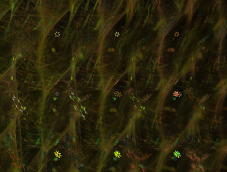 Similar image 21776501