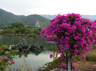 Similar image 21775891