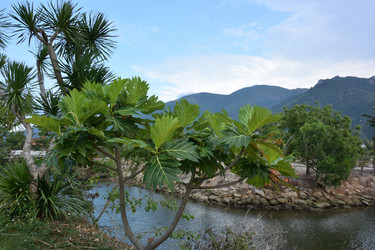 Similar image 21775894