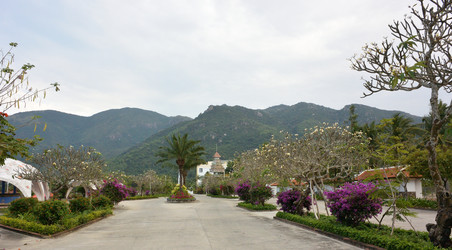 Similar image 21775899