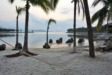 Similar image 21775902