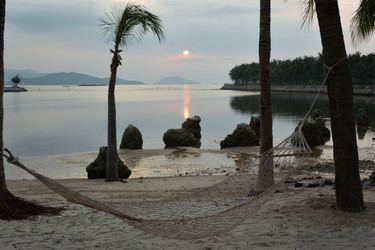 Similar image 21775913