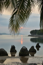 Similar image 21775915