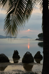 Similar image 21775916