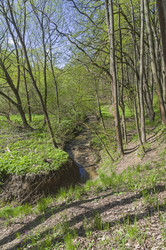 Similar image 21775929