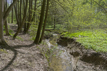 Similar image 21775932