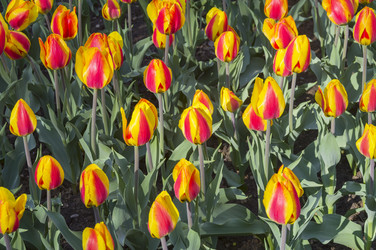 Similar image 21775933