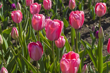 Similar image 21775935