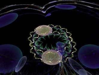 Similar image 21776529