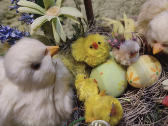 Similar image 21779618