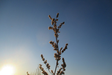 Similar image 21775981