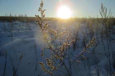 Similar image 21775983