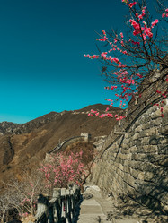 Similar image 21776231