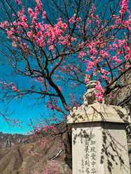 Similar image 21776232