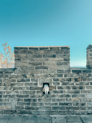 Similar image 21776233