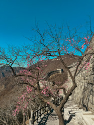 Similar image 21776235