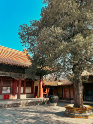 Similar image 21777367