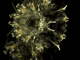 Similar image 21776554