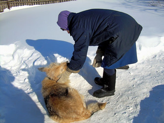 Similar image 21776367